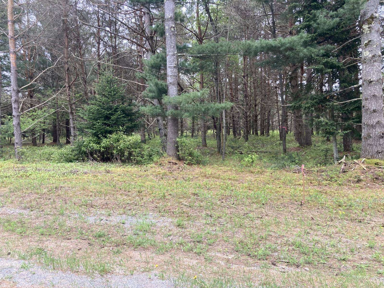 2 Acres of Residential Land for Sale in Forestport, New York
