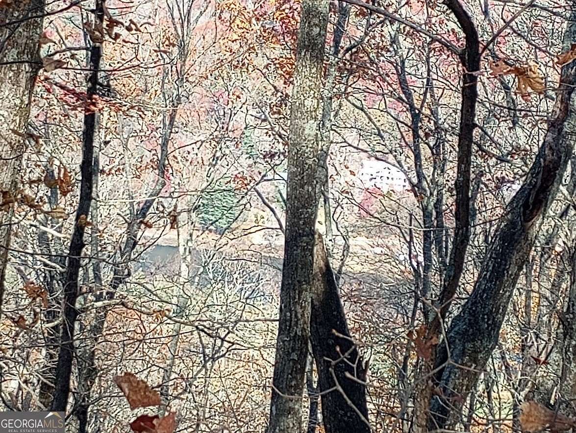 1.12 Acres of Land for Sale in Sky Valley, Georgia