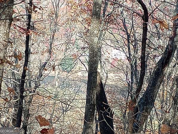 1.12 Acres of Land for Sale in Sky Valley, Georgia