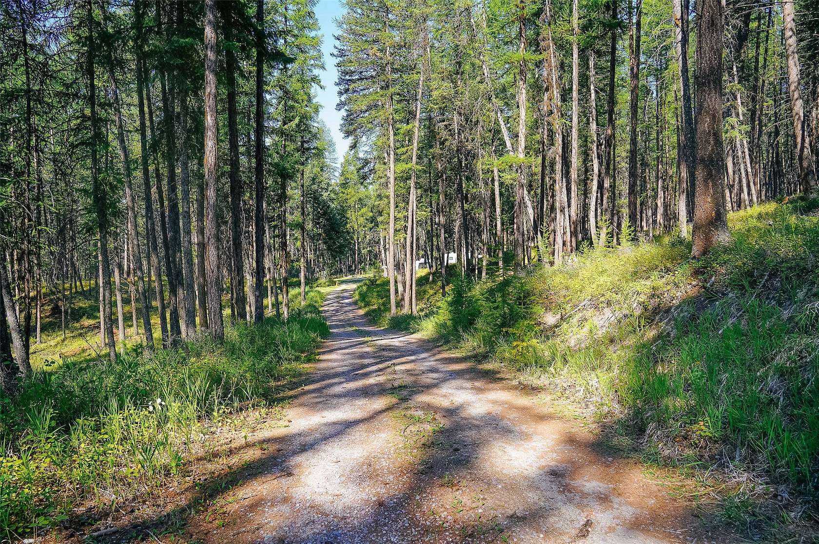 5 Acres of Residential Land for Sale in Whitefish, Montana