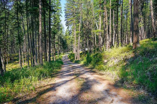 5 Acres of Residential Land for Sale in Whitefish, Montana