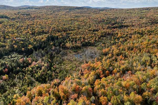 69.4 Acres of Land for Sale in Wellington, Maine