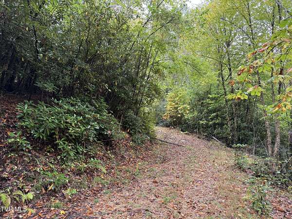 0.95 Acres of Land for Sale in Roan Mountain, Tennessee