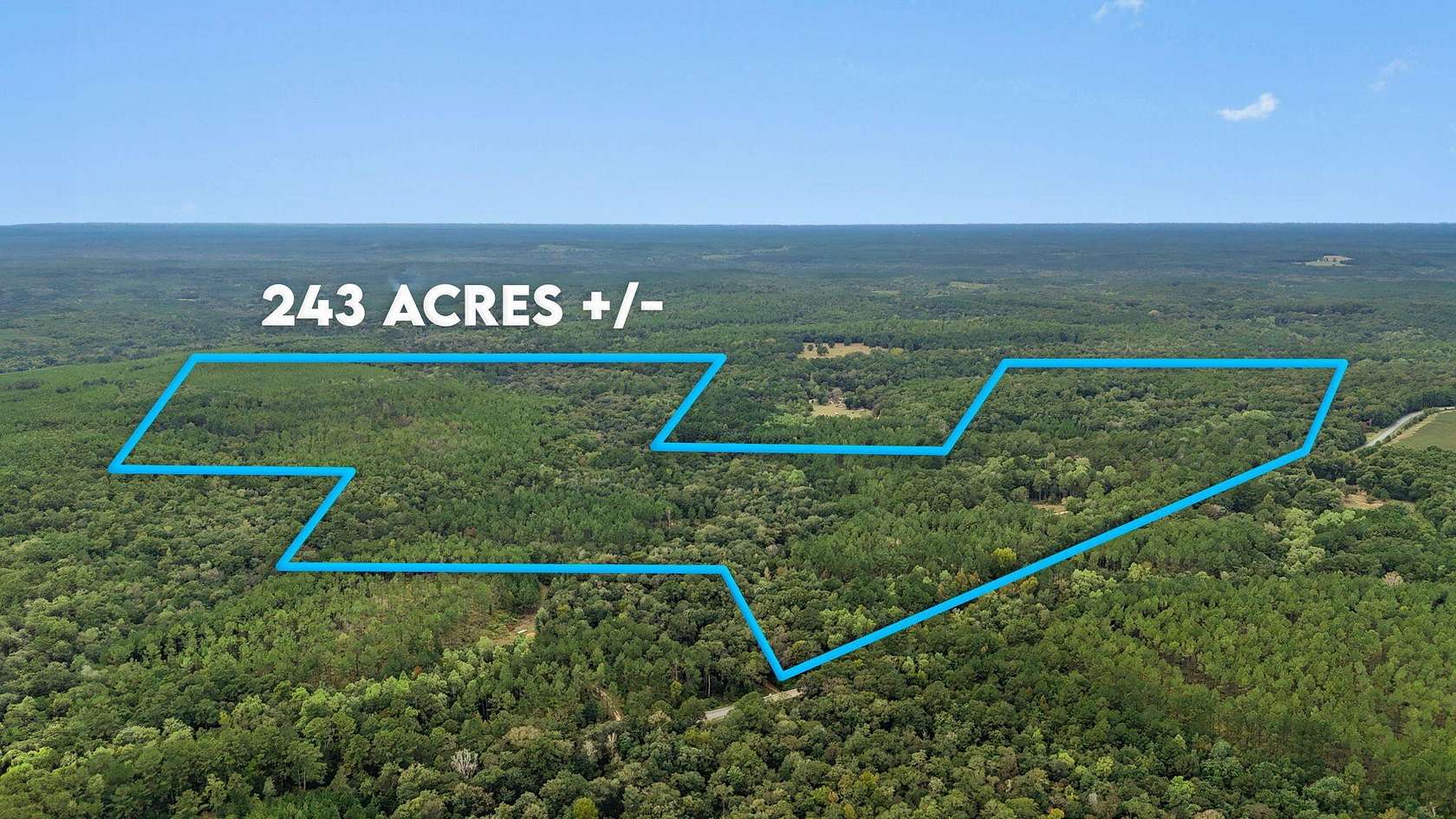 248 Acres of Land for Sale in Laurel Hill, Florida