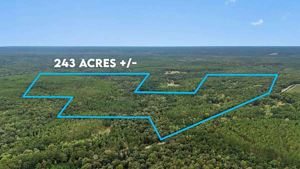 243 Acres of Land for Sale in Laurel Hill, Florida