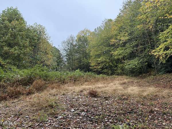 1.26 Acres of Residential Land for Sale in Roan Mountain, Tennessee