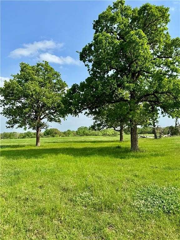 18.8 Acres of Land for Sale in College Station, Texas