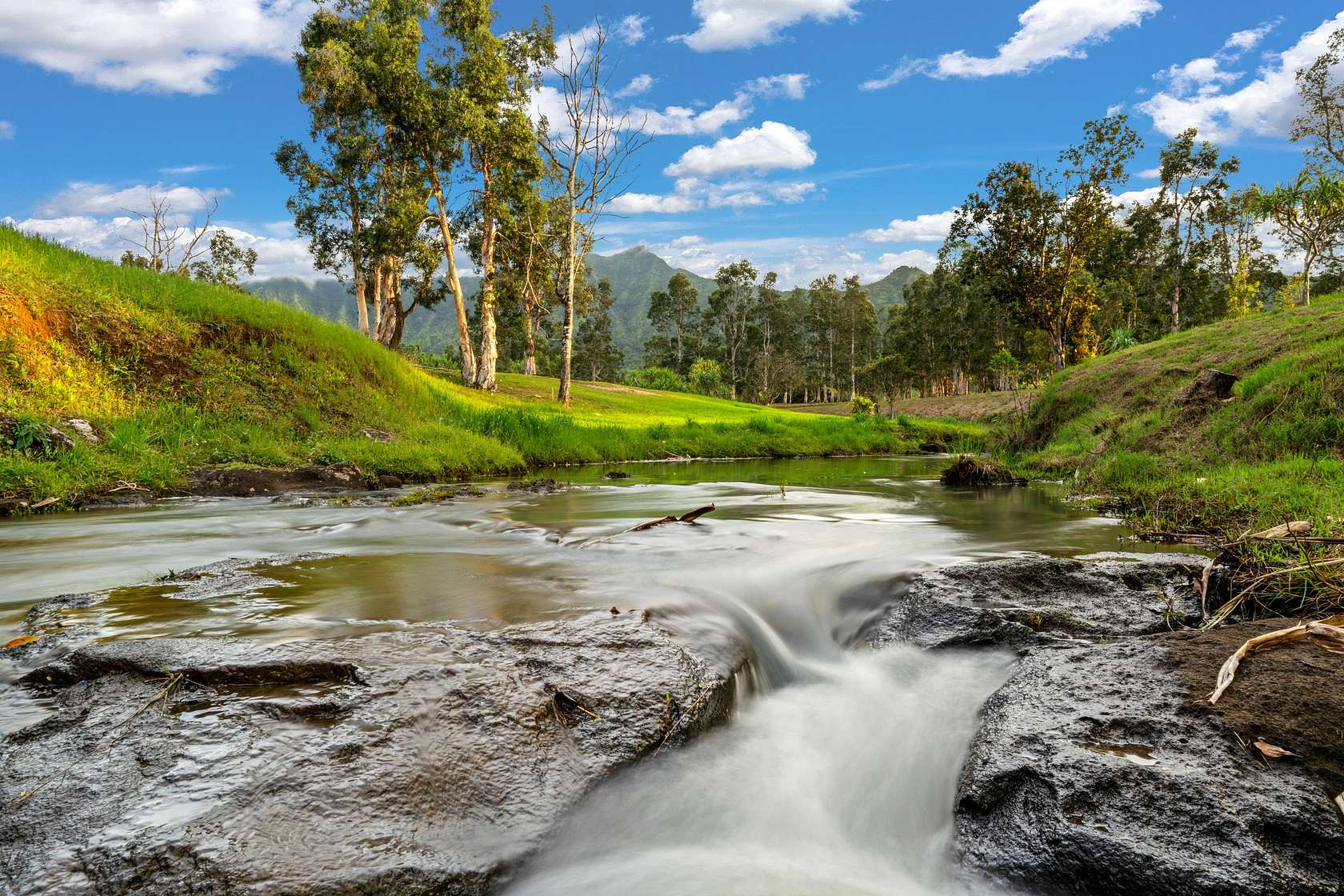 64 Acres of Recreational Land & Farm for Sale in Kilauea, Hawaii