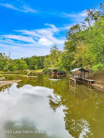 7.34 Acres of Land for Sale in Jacksons' Gap, Alabama