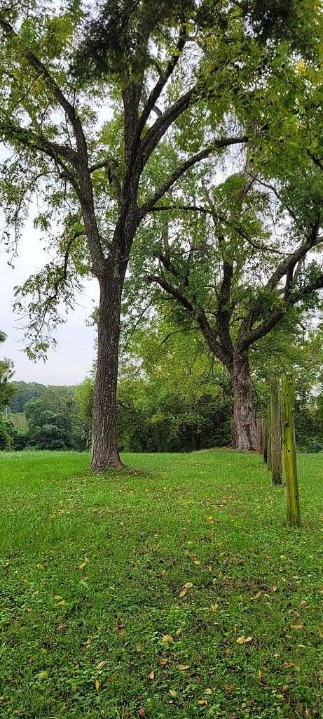 5 Acres of Residential Land for Sale in Burkeville, Virginia