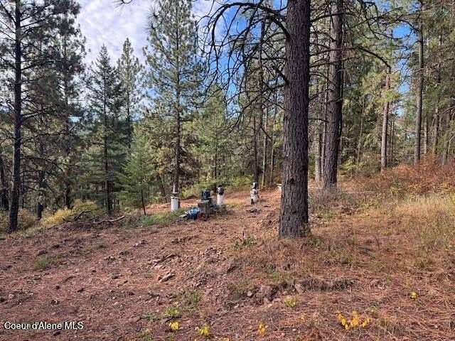 40 Acres of Recreational Land for Sale in Tensed, Idaho