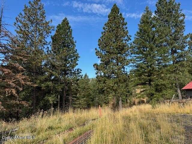 20 Acres of Recreational Land for Sale in Tensed, Idaho