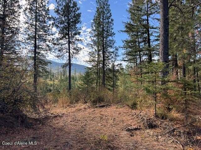 20 Acres of Land for Sale in Tensed, Idaho