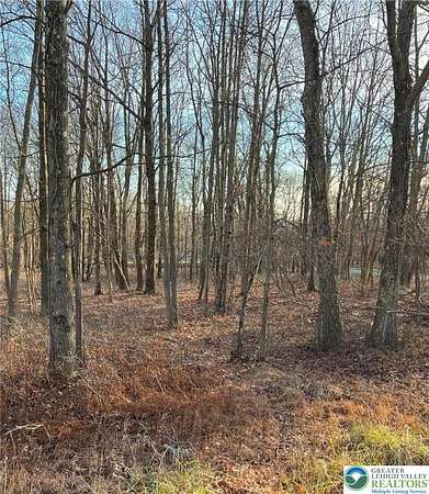 0.47 Acres of Residential Land for Sale in Penn Forest Township, Pennsylvania