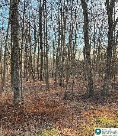 0.47 Acres of Residential Land for Sale in Penn Forest Township, Pennsylvania