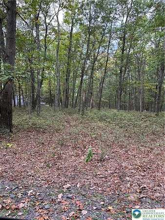 1.3 Acres of Residential Land for Sale in Price Township, Pennsylvania