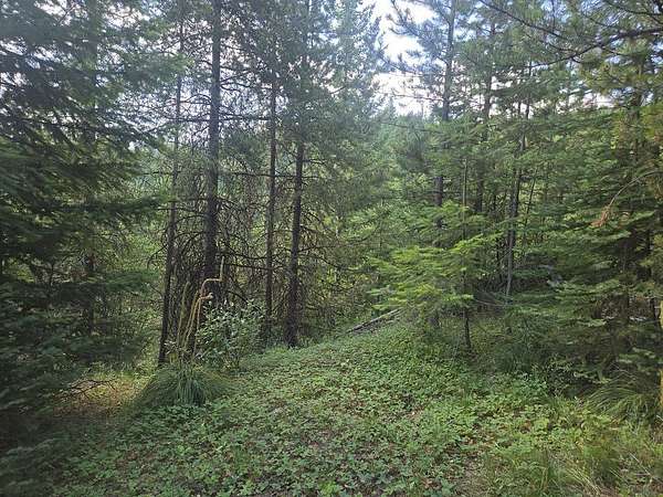 17.7 Acres of Recreational Land for Sale in Huson, Montana