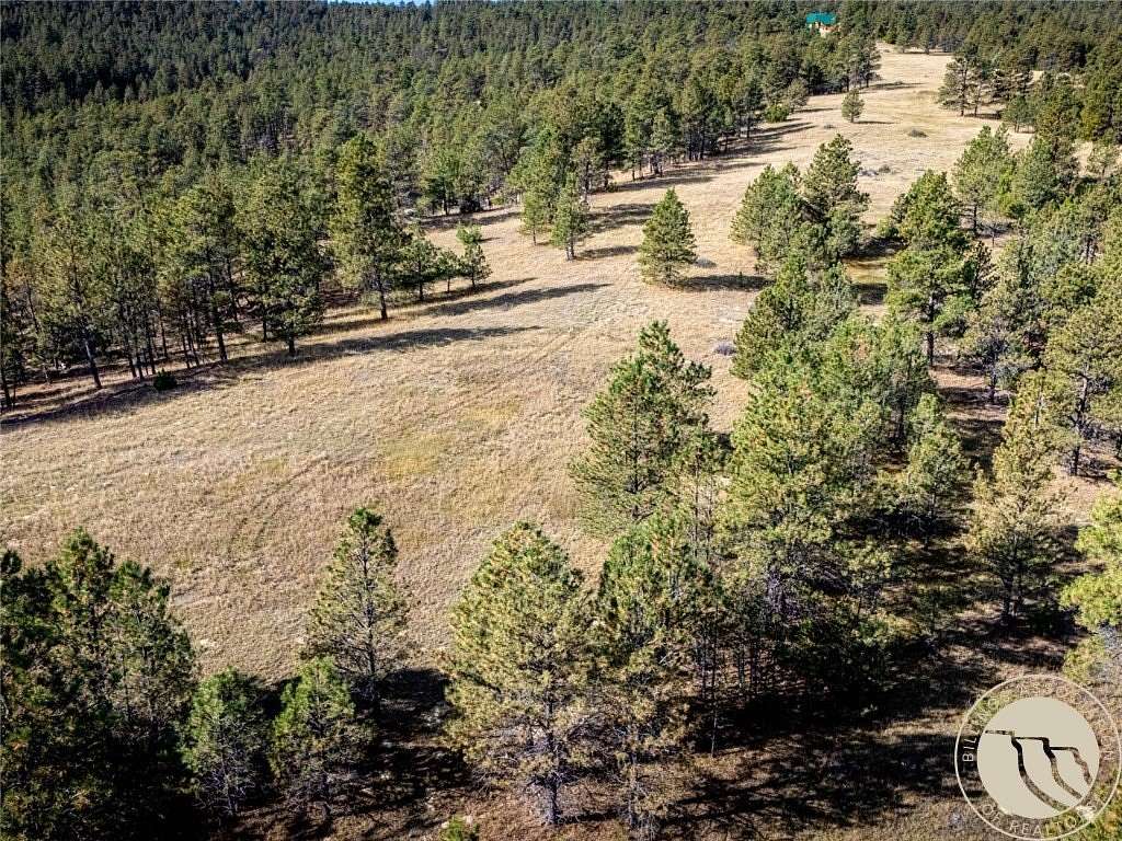 80 Acres of Agricultural Land for Sale in Roundup, Montana