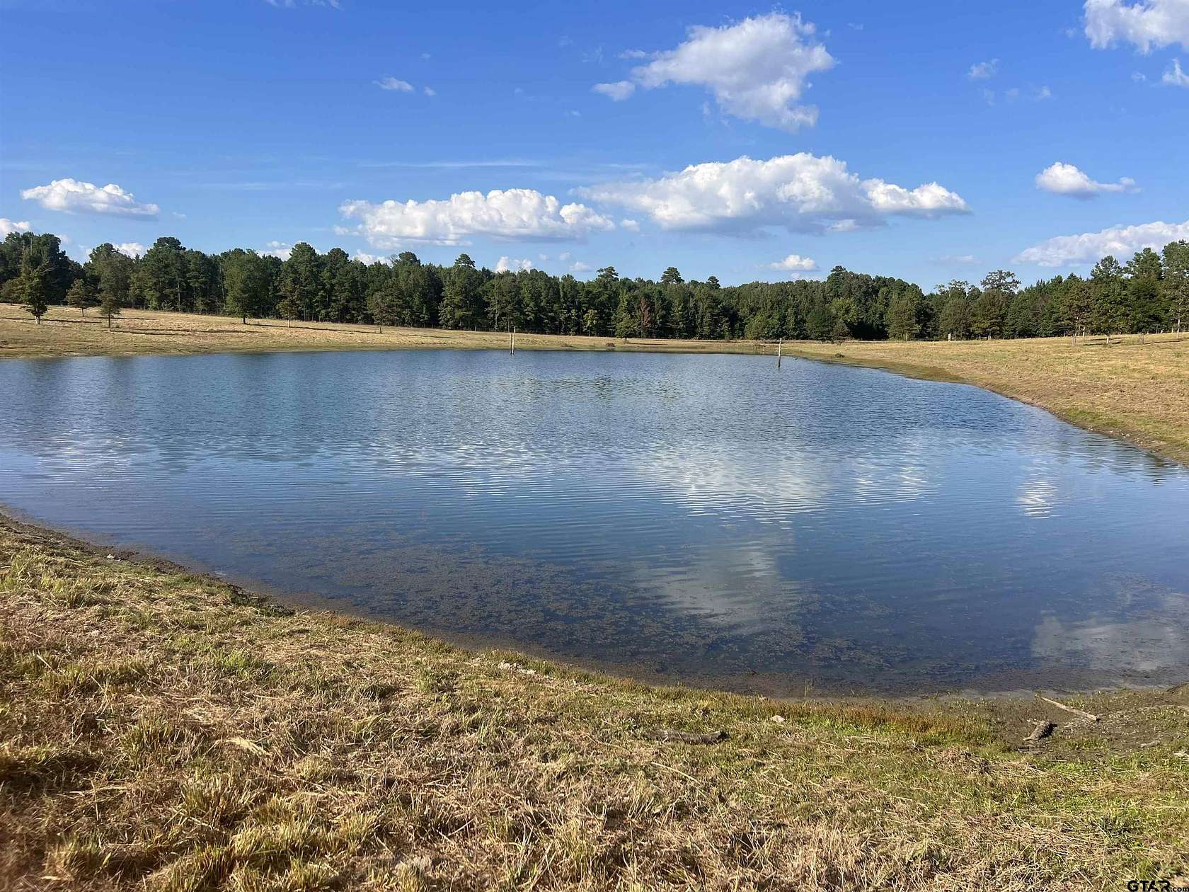 36.7 Acres of Land for Sale in Avinger, Texas