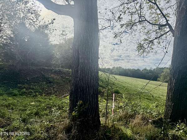 5 Acres of Residential Land for Sale in New Tazewell, Tennessee