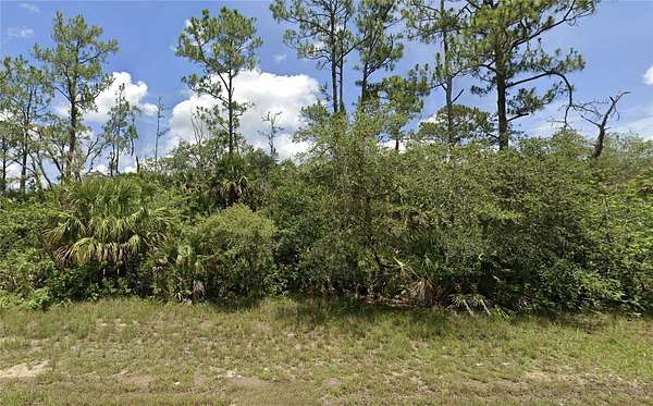 3.83 Acres of Land for Sale in Lehigh Acres, Florida