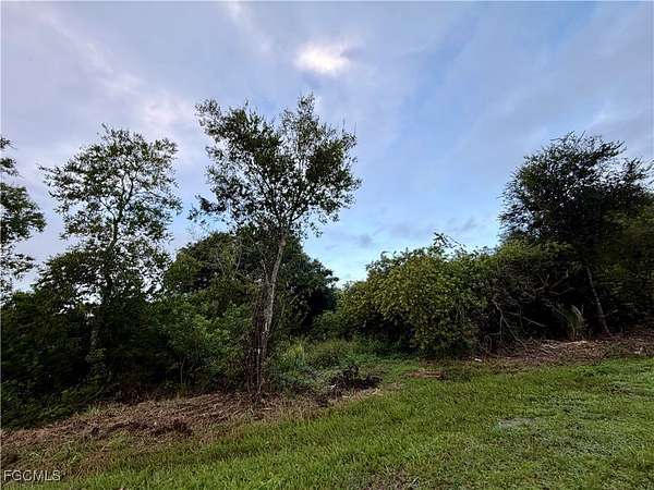 1.25 Acres of Residential Land for Sale in Clewiston, Florida