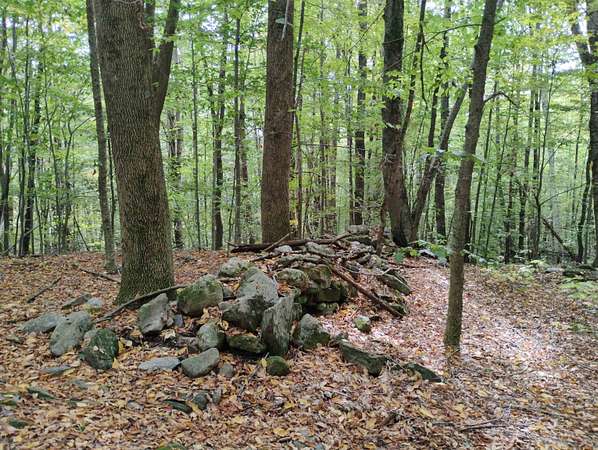 137 Acres of Recreational Land for Sale in Townshend, Vermont