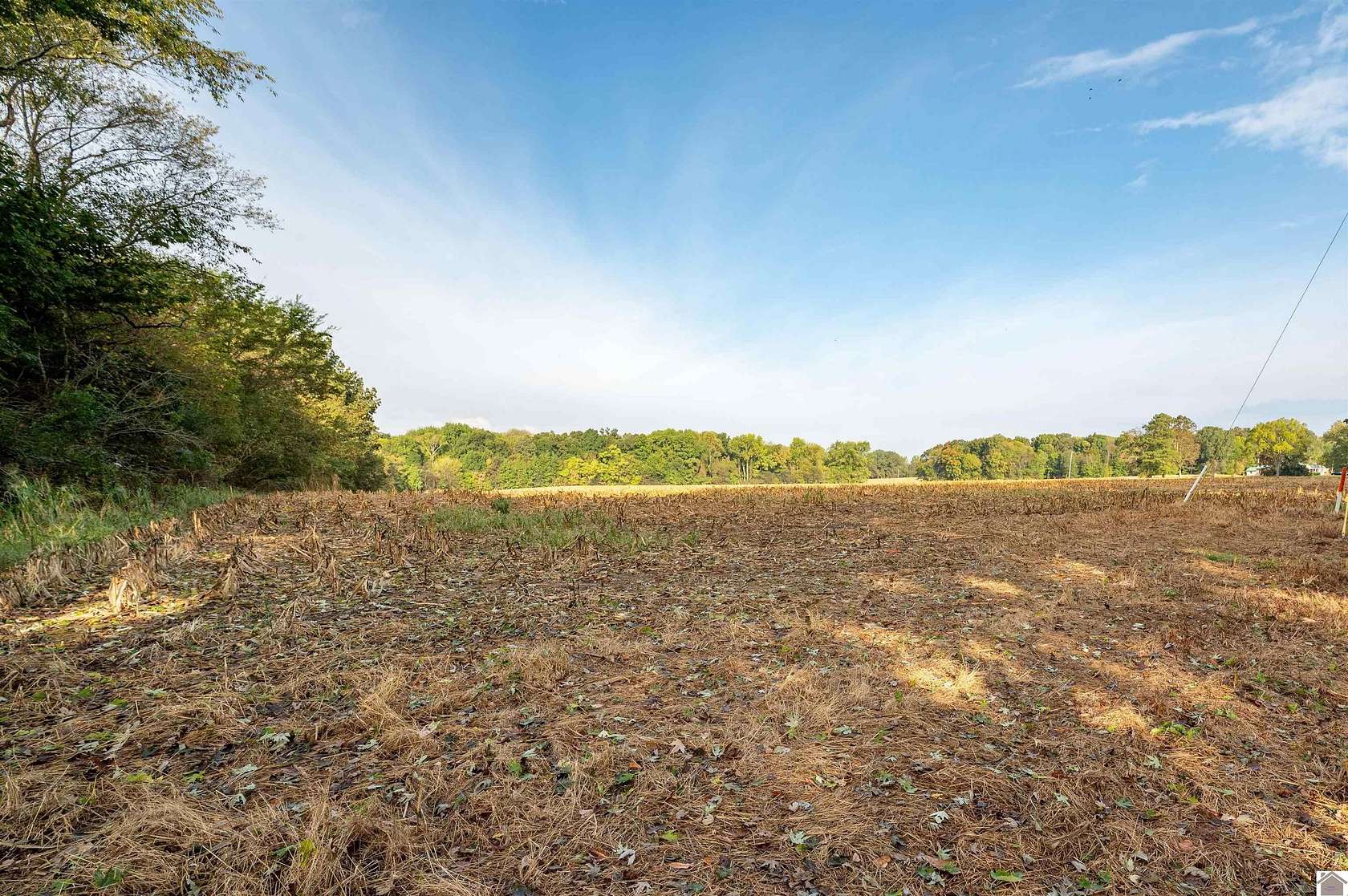 17.5 Acres of Agricultural Land for Sale in Hazel, Kentucky