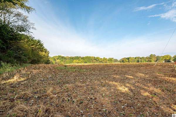 17.5 Acres of Agricultural Land for Sale in Hazel, Kentucky