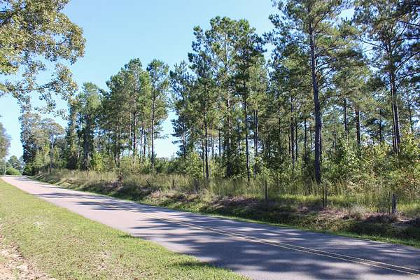 10 Acres of Land for Sale in Petal, Mississippi