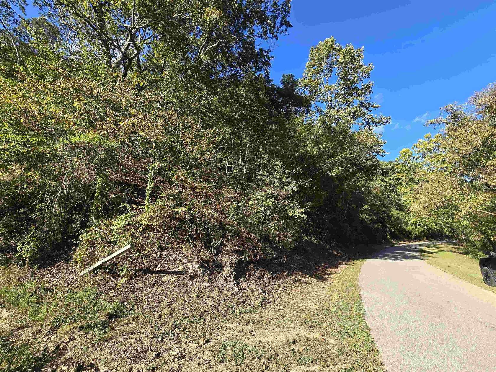 58.5 Acres of Recreational Land for Sale in East Lynn, West Virginia