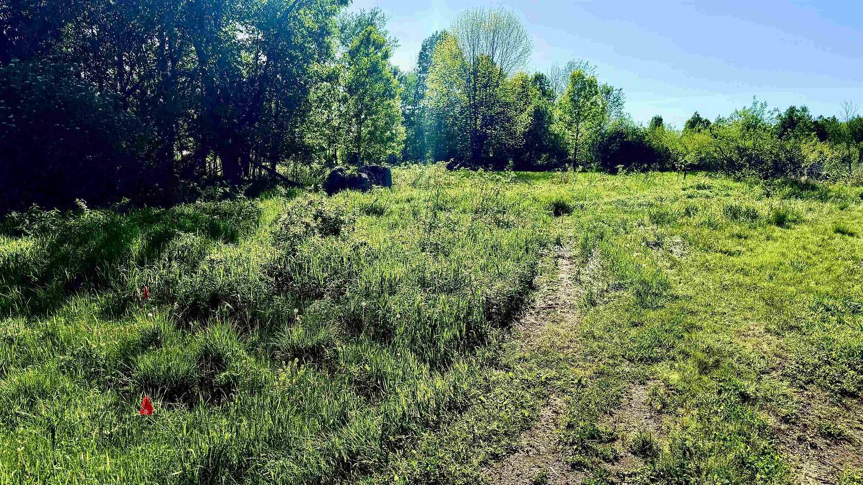 10 Acres of Recreational & Residential Land for Sale in Aniwa, Wisconsin