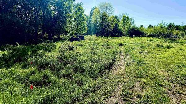 10 Acres of Recreational & Residential Land for Sale in Aniwa, Wisconsin