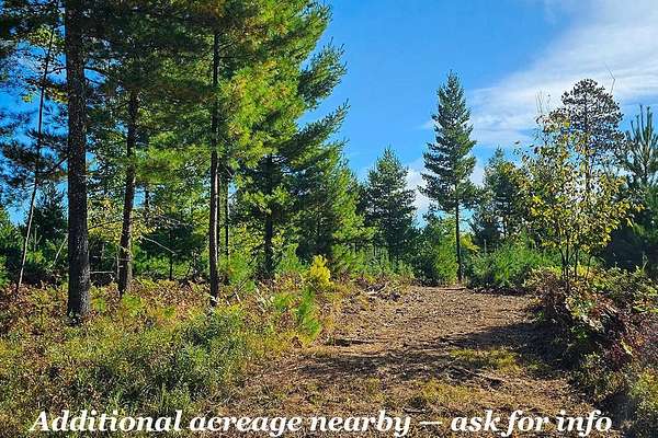 5.29 Acres of Land for Sale in Solon Springs, Wisconsin