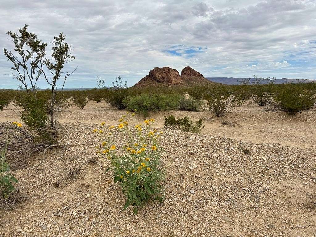 5 Acres of Recreational Land for Sale in Terlingua, Texas