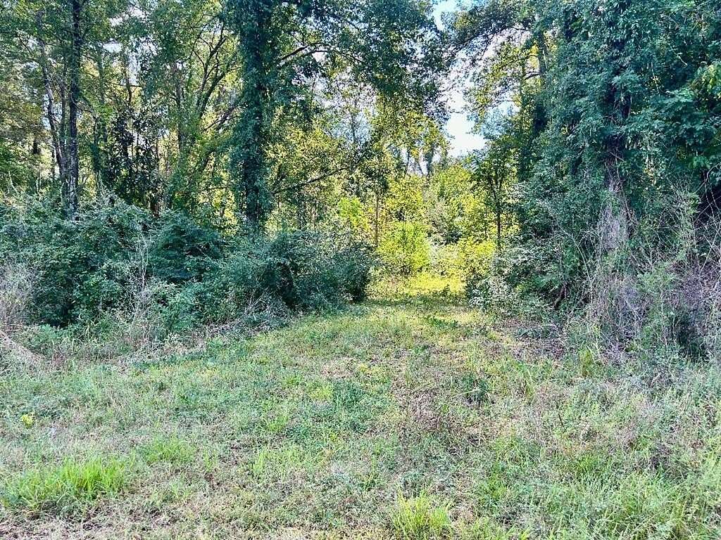 0.69 Acres of Residential Land for Sale in Atlanta, Texas