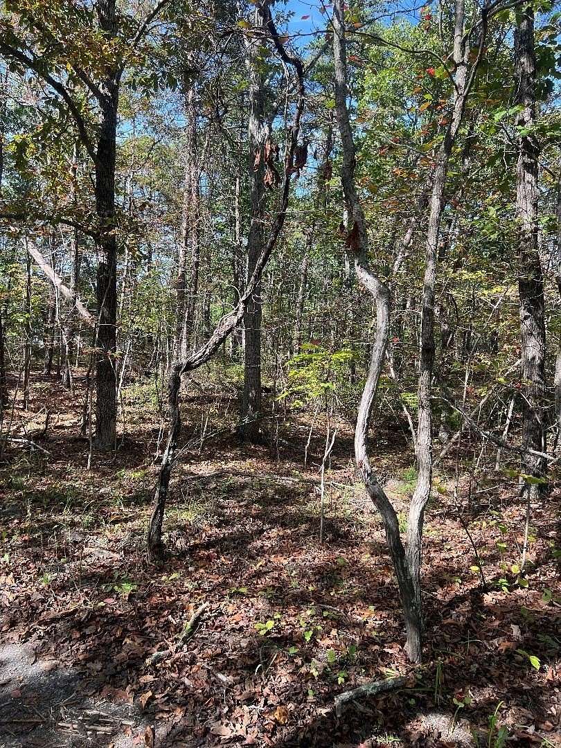 10.3 Acres of Recreational Land for Sale in Stuarts Draft, Virginia