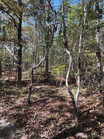 10.3 Acres of Recreational Land for Sale in Stuarts Draft, Virginia