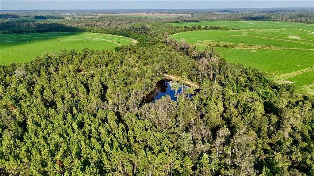 44 Acres of Recreational Land for Sale in Hazlehurst, Georgia