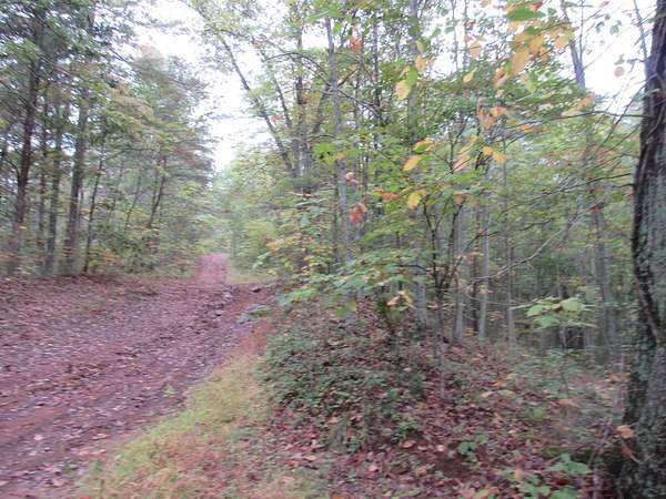 33 Acres of Recreational Land for Sale in Macfarlan, West Virginia