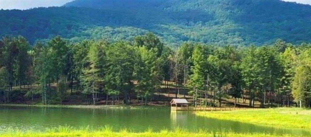 1 Acre of Residential Land for Sale in Cleveland, Georgia