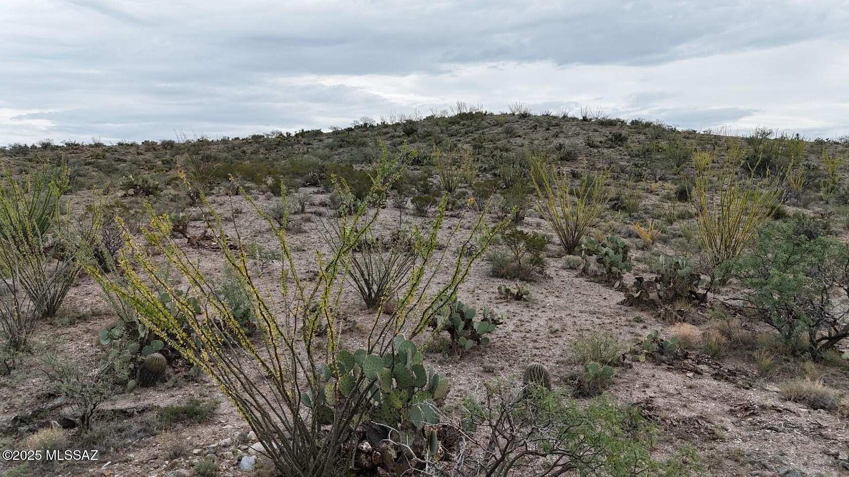 20 Acres of Recreational Land for Sale in Benson, Arizona