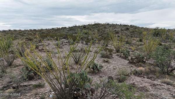 20 Acres of Recreational Land for Sale in Benson, Arizona