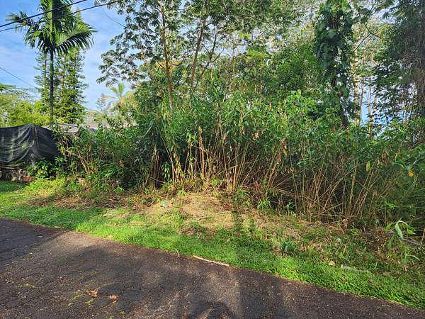 0.21 Acres of Land for Sale in Pahoa, Hawaii