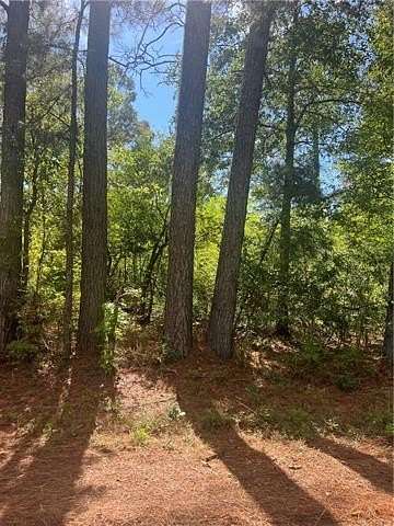 1.62 Acres of Land for Sale in Pollock, Louisiana