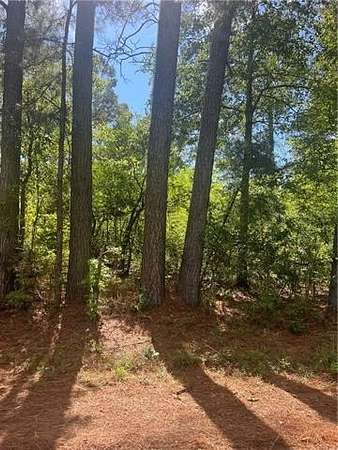 1.62 Acres of Land for Sale in Pollock, Louisiana