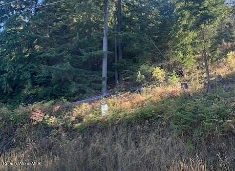 0.34 Acres of Residential Land for Sale in Harrison, Idaho