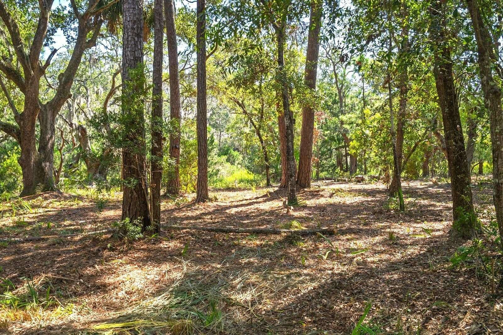 0.78 Acres of Residential Land for Sale in Edisto Island, South Carolina