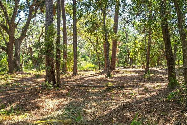 0.78 Acres of Residential Land for Sale in Edisto Island, South Carolina