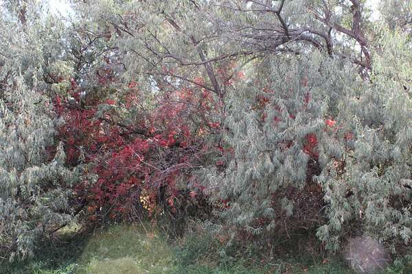 0.17 Acres of Residential Land for Sale in Newcastle, Wyoming